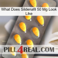 What Does Sildenafil 50 Mg Look Like cialis1